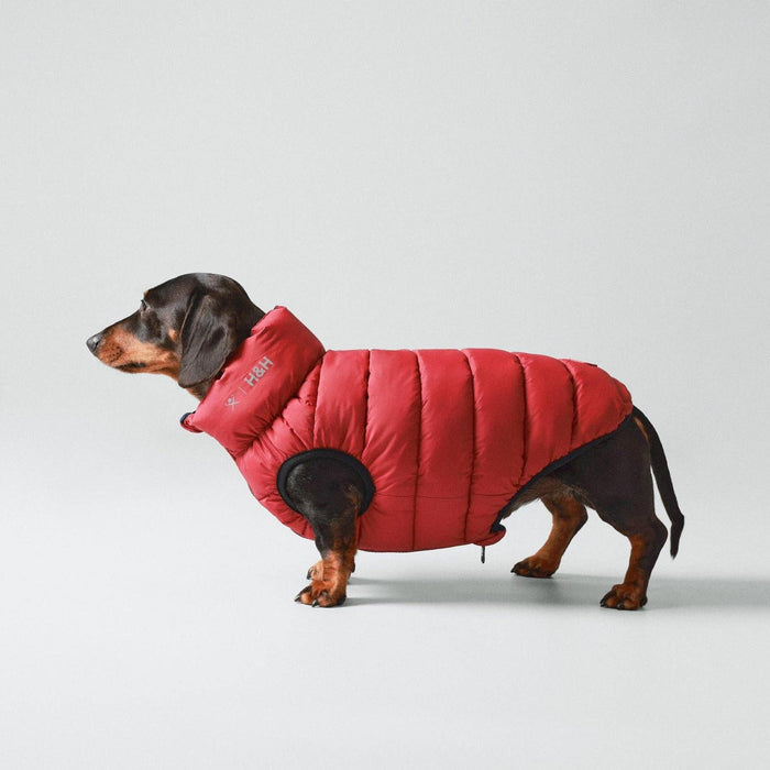 Hugo & Hudson | Hackett x Hugo Hudson Dog Puffer Jacket - Navy & Berry-Hugo & Hudson-Love My Hound