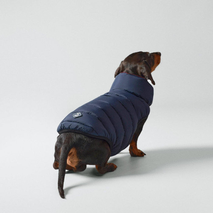 Hugo & Hudson | Hackett x Hugo Hudson Dog Puffer Jacket - Navy & Berry-Hugo & Hudson-Love My Hound