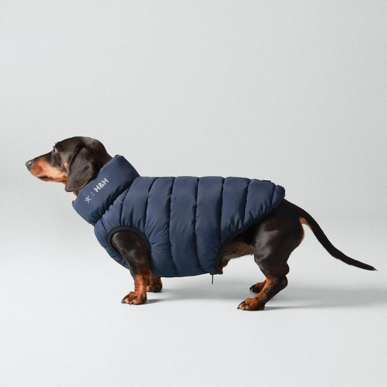 Hugo & Hudson | Hackett x Hugo Hudson Dog Puffer Jacket - Navy & Berry