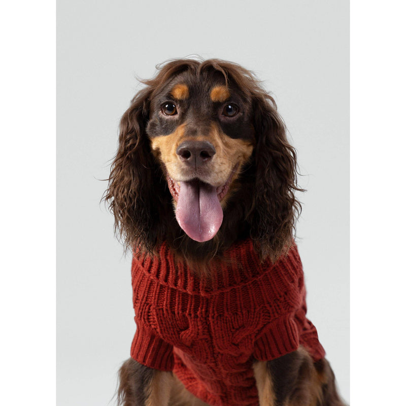 Hugo & Hudson X Hackett | Cable Knit Pullover Dog Jumper - Brick-Hugo & Hudson-Love My Hound