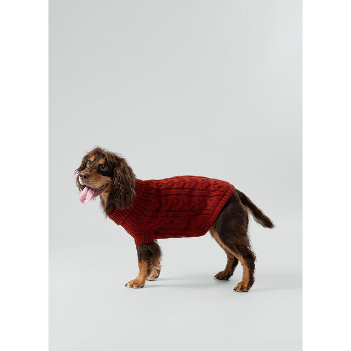 Hugo & Hudson X Hackett | Cable Knit Pullover Dog Jumper - Brick-Hugo & Hudson-Love My Hound