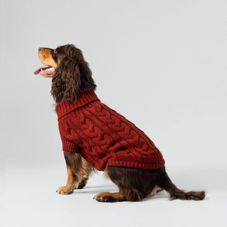 Hugo & Hudson X Hackett | Cable Knit Pullover Dog Jumper - Brick