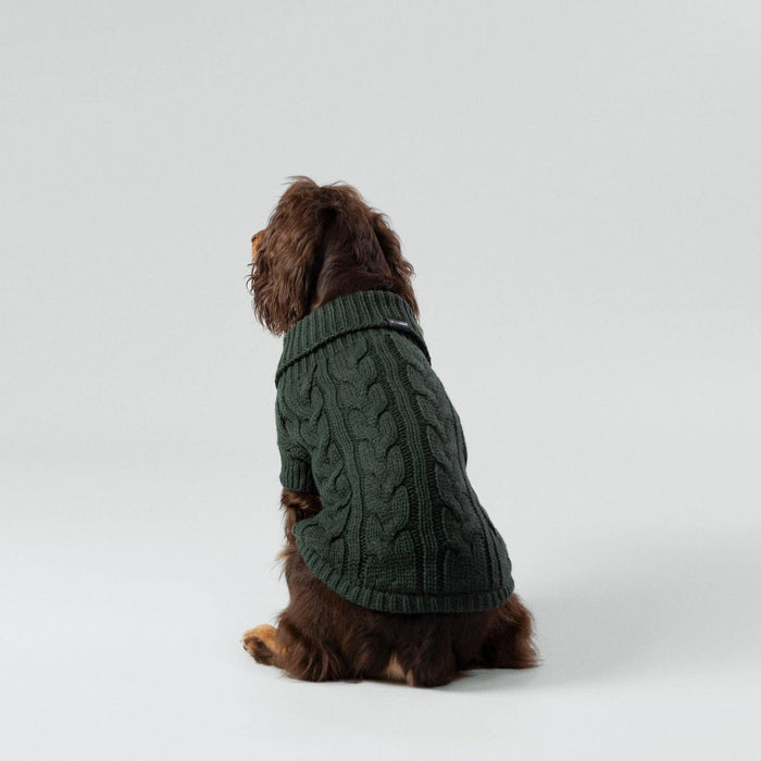 Hugo & Hudson X Hackett | Cable Knit Pullover Dog Jumper - Green-Hugo & Hudson-Love My Hound