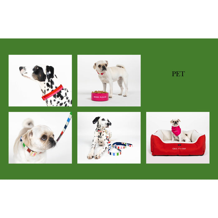 Kate Spade New York | Adventure Stripe - Dog Collar-Kate Spade New York-Love My Hound