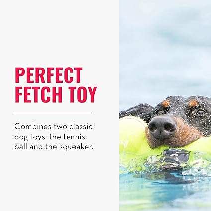 Kong | Airdog Squeaker Bone - Dog Toy-Kong-Love My Hound