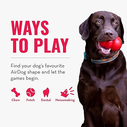 Kong | Airdog Squeaker Bone - Dog Toy-Kong-Love My Hound