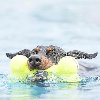 Kong | Airdog Squeaker Bone - Dog Toy-Kong-Love My Hound