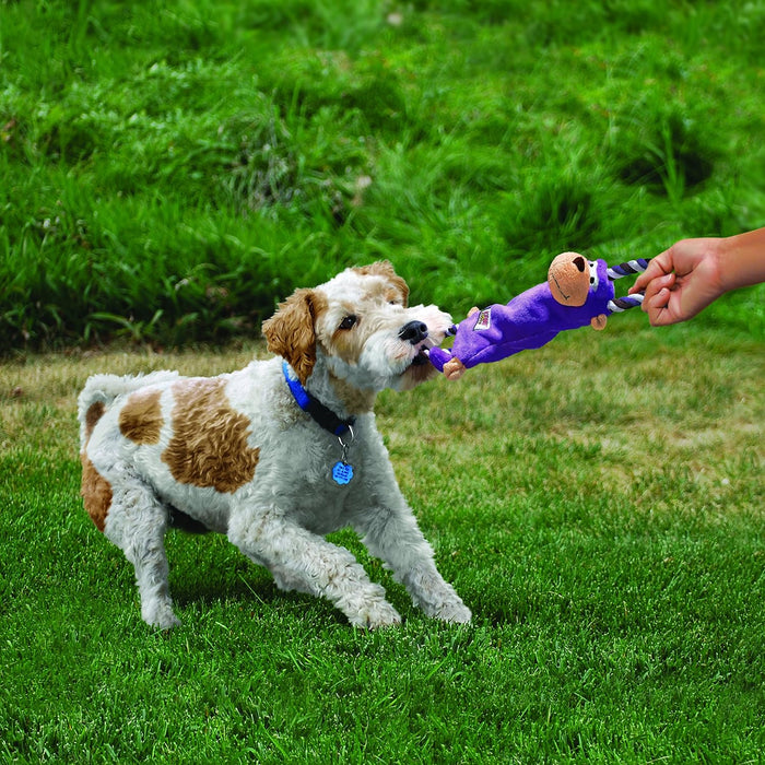 Kong | Tugger Knots Dog Toy - Frog-Kong-Love My Hound