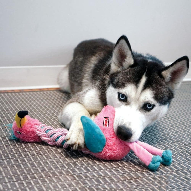 Kong | Twists Knots Dog Toy - Giraffe-Kong-Love My Hound