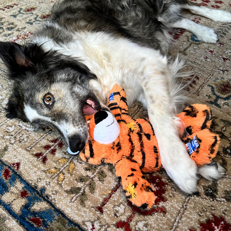 Kong | Wild Knots Dog Toy - Tiger-Kong-Love My Hound