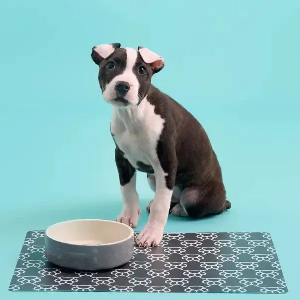 Mason Cash - Colour Mix Grey Dog Bowl-Mason Cash-Love My Hound
