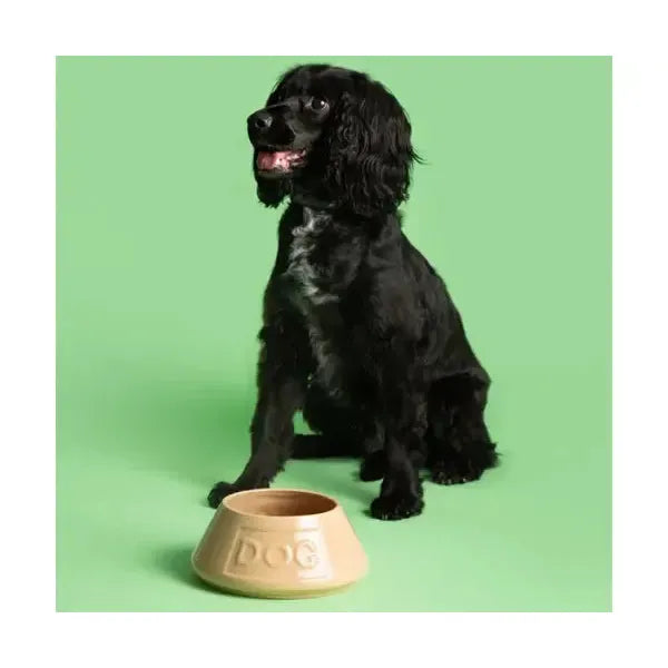Mason Cash - Spaniel Dog Bowl-Mason Cash-Love My Hound