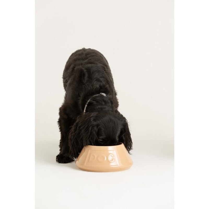 Mason Cash - Spaniel Dog Bowl-Mason Cash-Love My Hound