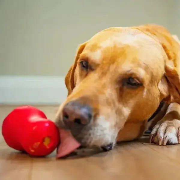 Natures Deli | Chicken Liver Paste Pouch-Natures Deli-Love My Hound