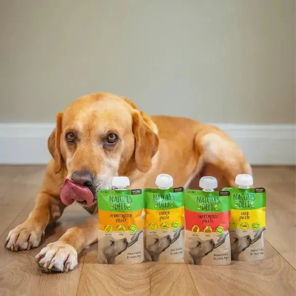 Natures Deli | Peanut Butter Paste Pouch-Natures Deli-Love My Hound