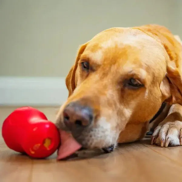 Natures Deli | Peanut Butter Paste Pouch-Natures Deli-Love My Hound