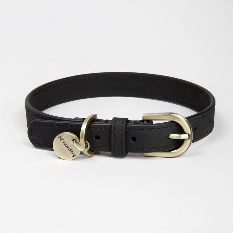 Nordog | Thomas Dog Collar Coal