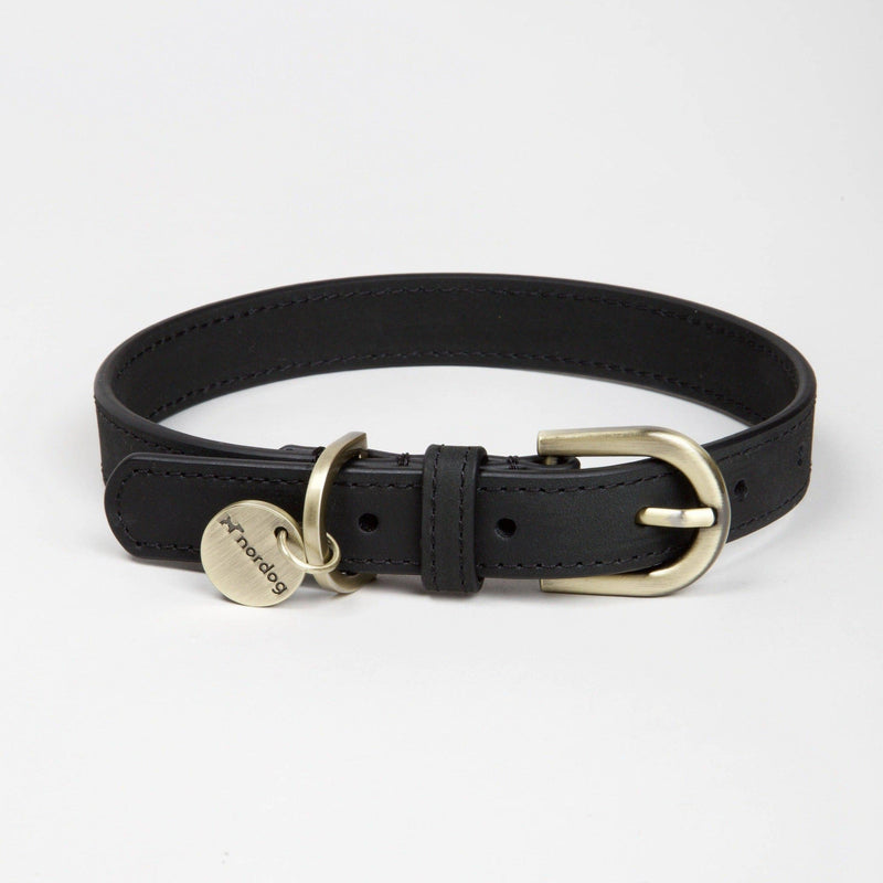 Nordog | Thomas Dog Collar Coal-Nordog-Love My Hound