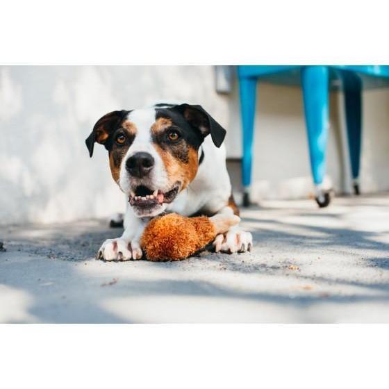 P.L.A.Y - American Classics - Fried Chicken - Plush Dog Toy-P.L.A.Y-Love My Hound