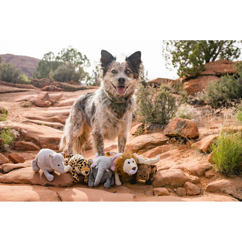 P.L.A.Y | Big 5 of Africa - Lion Plush Dog Toy-P.L.A.Y-Love My Hound