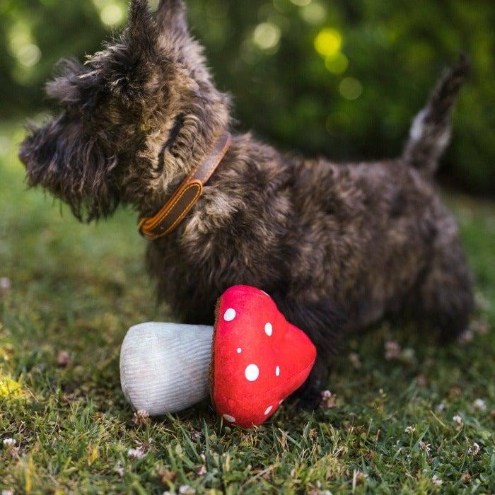 P.L.A.Y - Blooming Buddies - Mutt's Mushroom Dog Toy-P.L.A.Y-Love My Hound