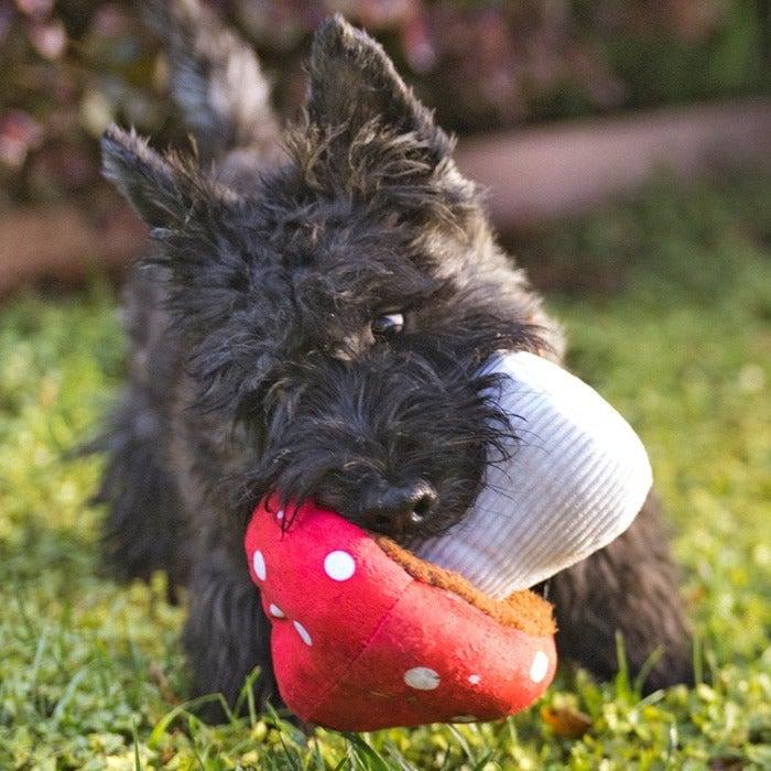 P.L.A.Y - Blooming Buddies - Mutt's Mushroom Dog Toy-P.L.A.Y-Love My Hound