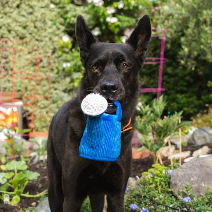 P.L.A.Y - Blooming Buddies - Wagging Watering Can Dog Toy-P.L.A.Y-Love My Hound