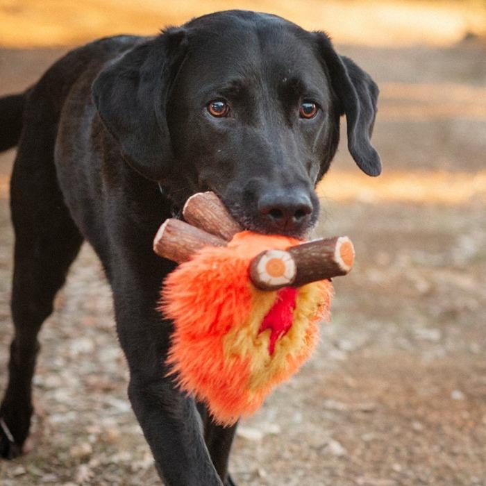 P.L.A.Y - Camp Corbin - Cosy Campfire Dog Toy-P.L.A.Y-Love My Hound