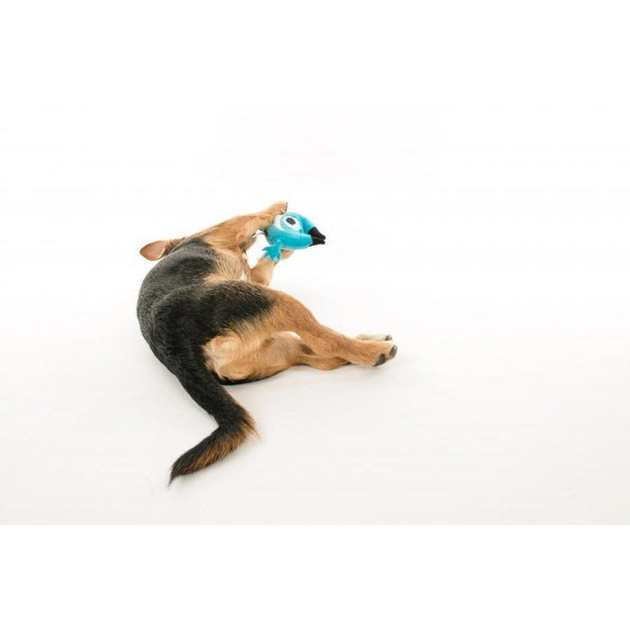 P.L.A.Y - Chomper The Monster - Plush Dog Toy-P.L.A.Y-Love My Hound