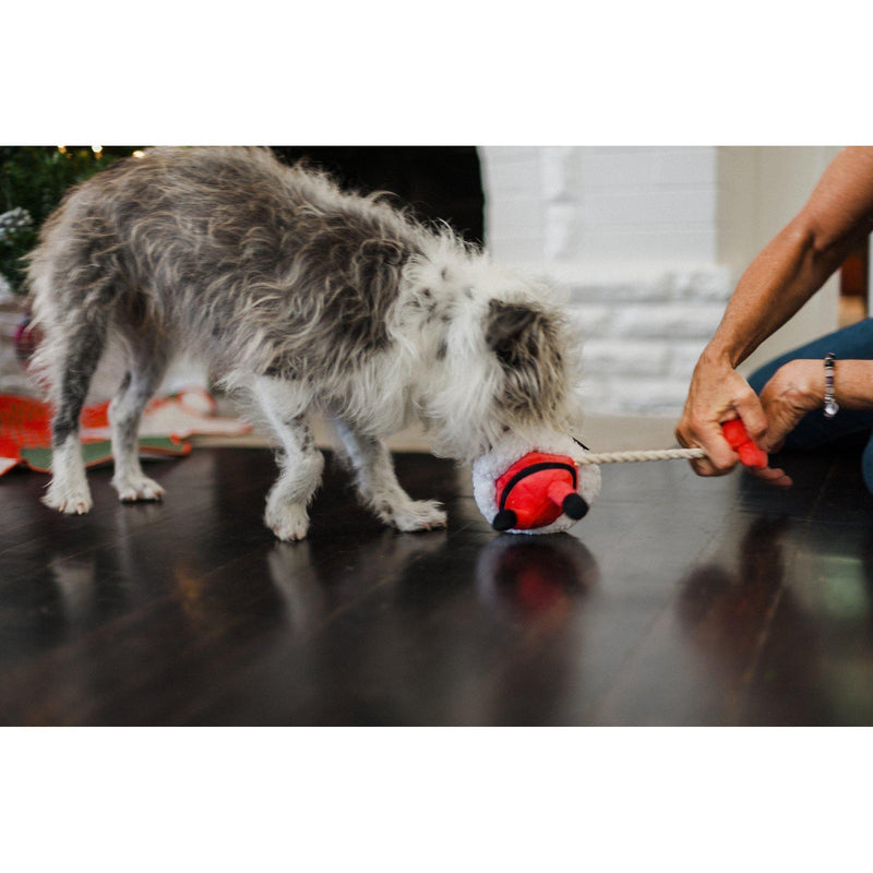 P.L.A.Y - Clumsy Claus Christmas Dog Toy-P.L.A.Y-Love My Hound