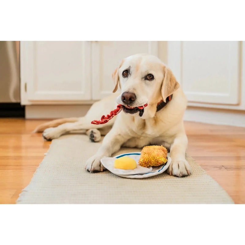 P.L.A.Y | Eggcellent Play Platter - Plush Dog Toy-P.L.A.Y-Love My Hound