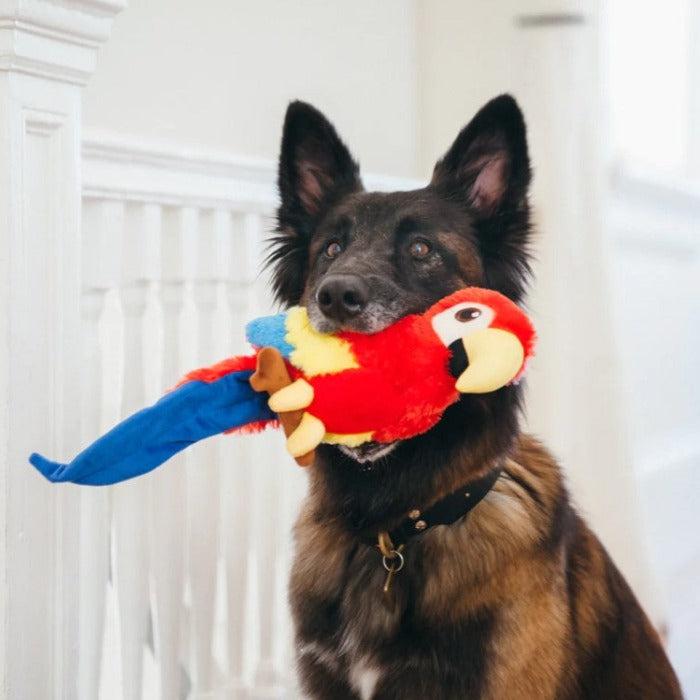 P.L.A.Y - Fetching Flock - Paula the Parrot Dog Toy-P.L.A.Y-Love My Hound