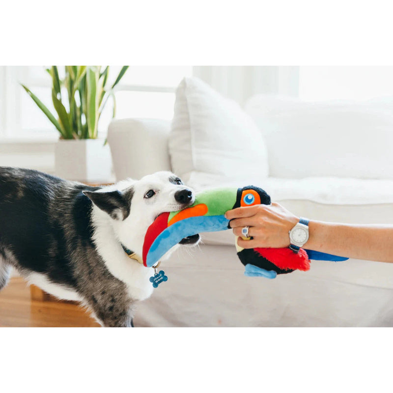 P.L.A.Y - Fetching Flock - Paula the Parrot Dog Toy-P.L.A.Y-Love My Hound