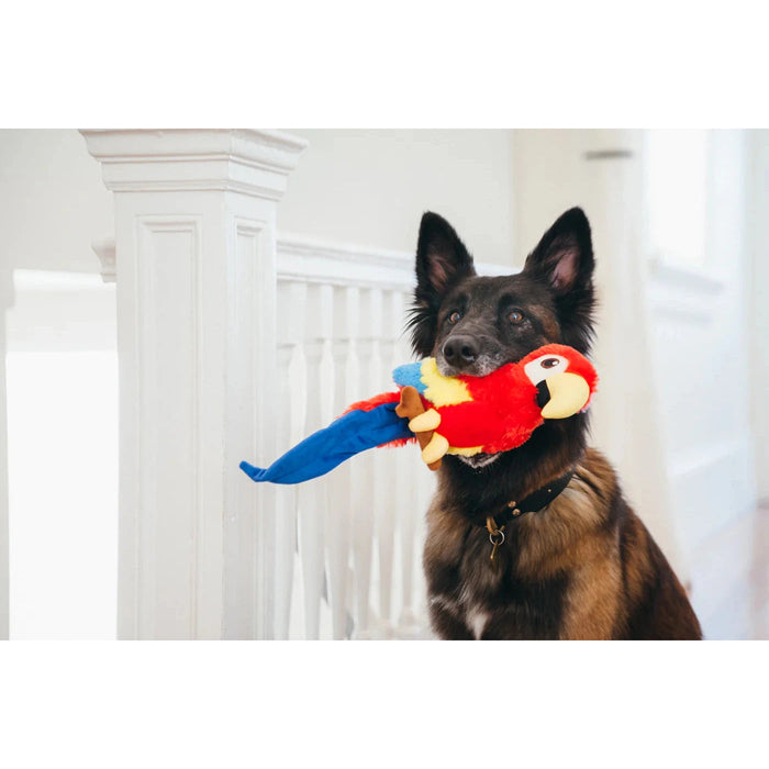 P.L.A.Y - Fetching Flock - Percy the Peacock Dog Toy-P.L.A.Y-Love My Hound