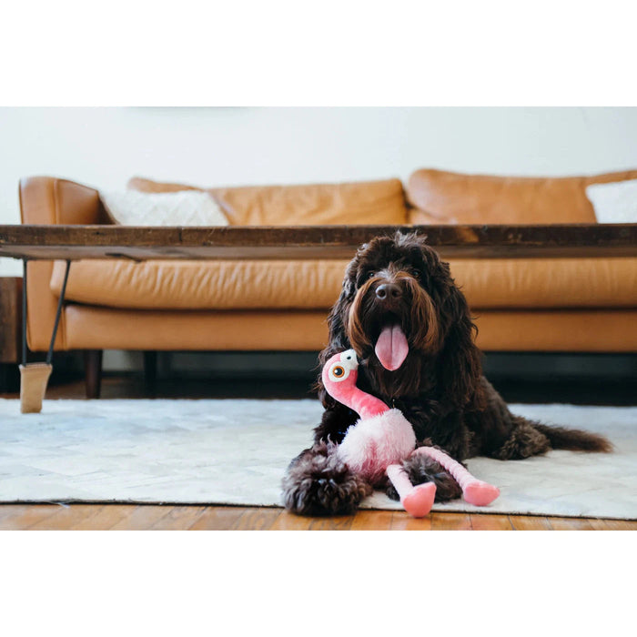 P.L.A.Y - Fetching Flock - Tito the Toucan Dog Toy-P.L.A.Y-Love My Hound