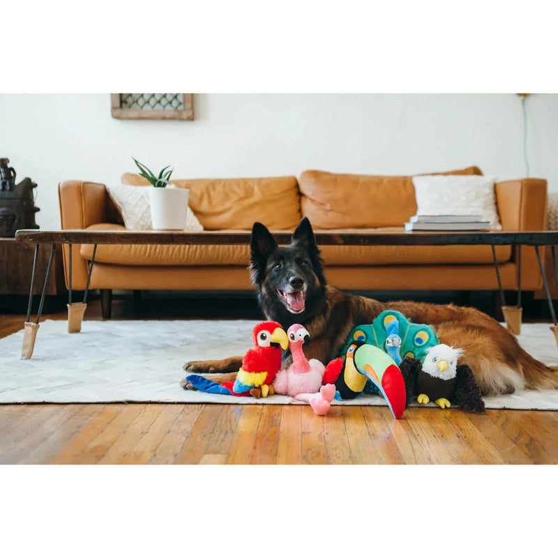P.L.A.Y - Fetching Flock - Tito the Toucan Dog Toy-P.L.A.Y-Love My Hound