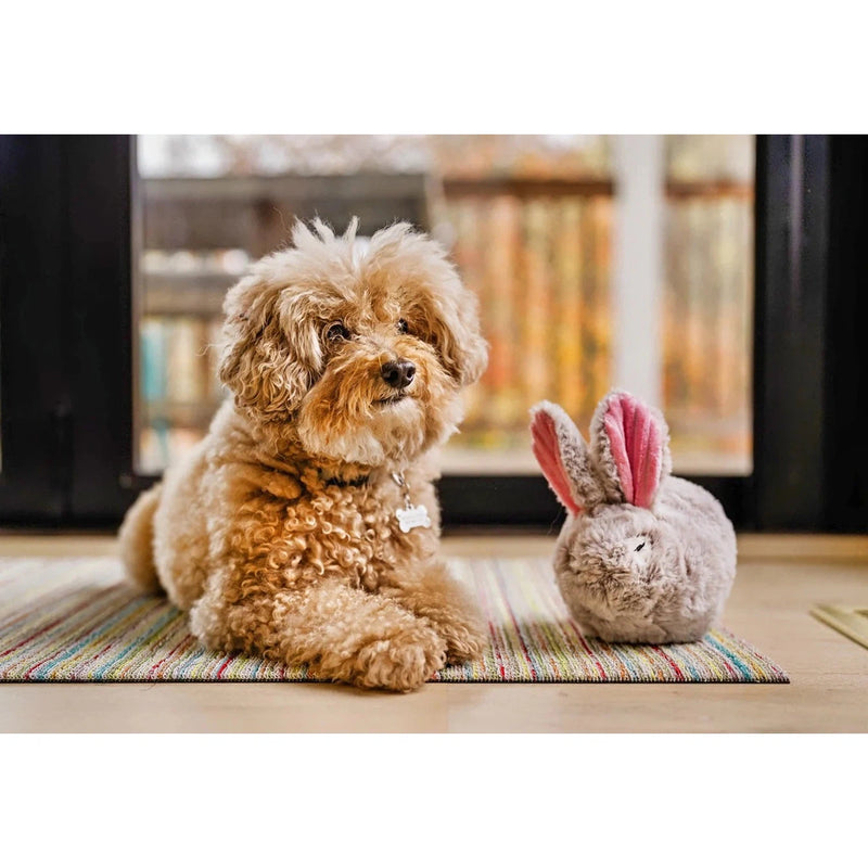 P.L.A.Y | Forest Friends - Baxter The Bunny - Plush Dog Toy-P.L.A.Y-Love My Hound