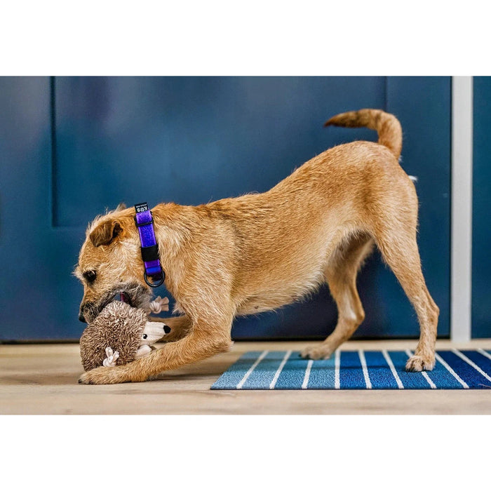 P.L.A.Y | Forest Friends Hamilton the Hedgehog - Plush Dog Toy-P.L.A.Y-Love My Hound