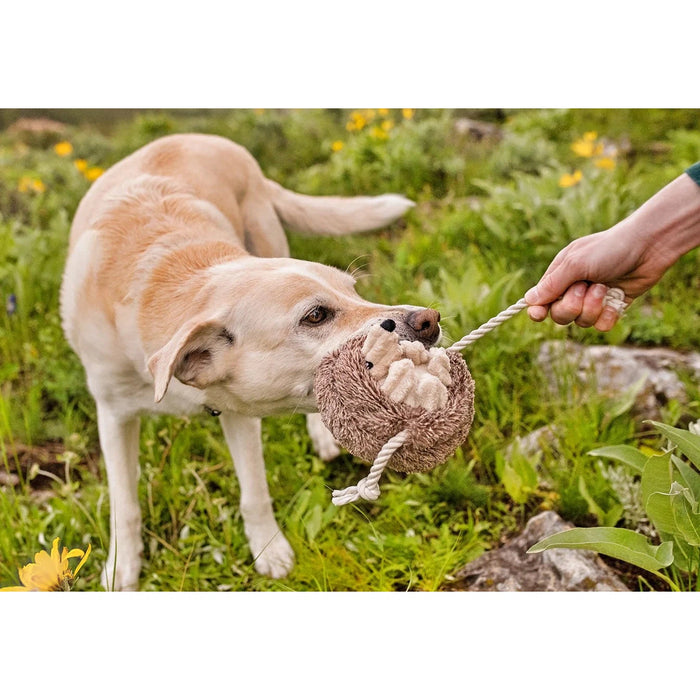 P.L.A.Y | Forest Friends Hamilton the Hedgehog - Plush Dog Toy-P.L.A.Y-Love My Hound