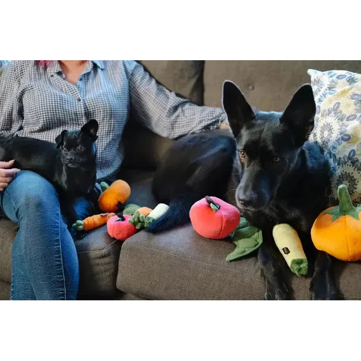 P.L.A.Y | Garden Fresh Apple - Plush Dog Toy-P.L.A.Y-Love My Hound