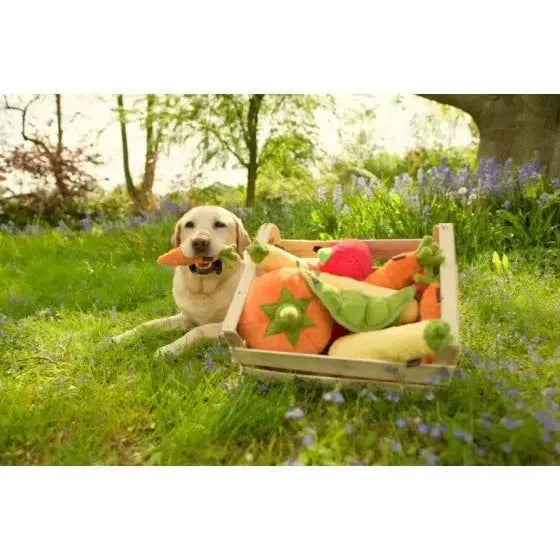 P.L.A.Y | Garden Fresh Carrot - Plush Dog Toy-P.L.A.Y-Love My Hound