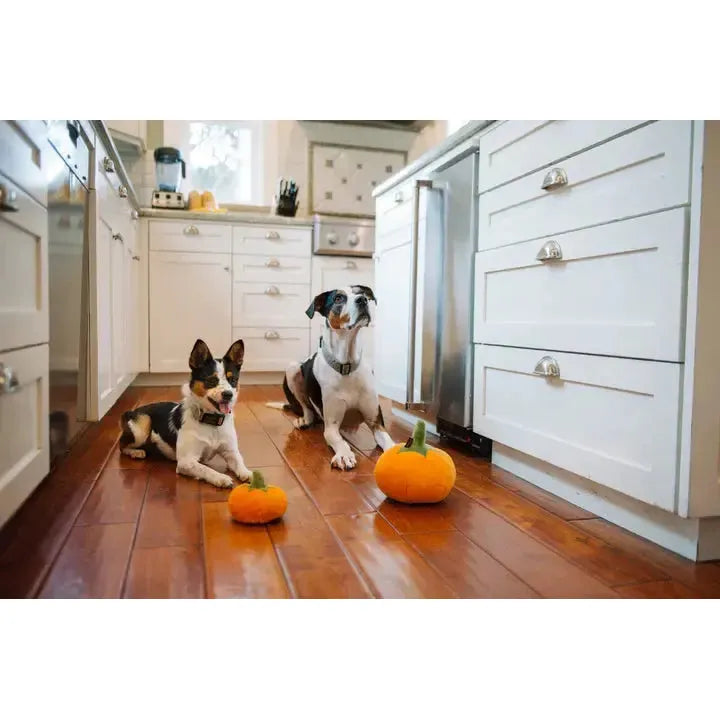 P.L.A.Y | Garden Fresh Pumpkin - Plush Dog Toy-P.L.A.Y-Love My Hound