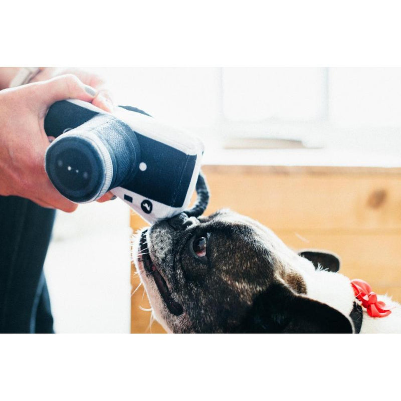 P.L.A.Y - Globetrotter - Camera Dog Toy-P.L.A.Y-Love My Hound