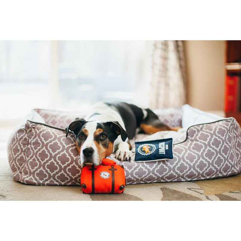P.L.A.Y - Globetrotter - Suitcase Dog Toy-P.L.A.Y-Love My Hound