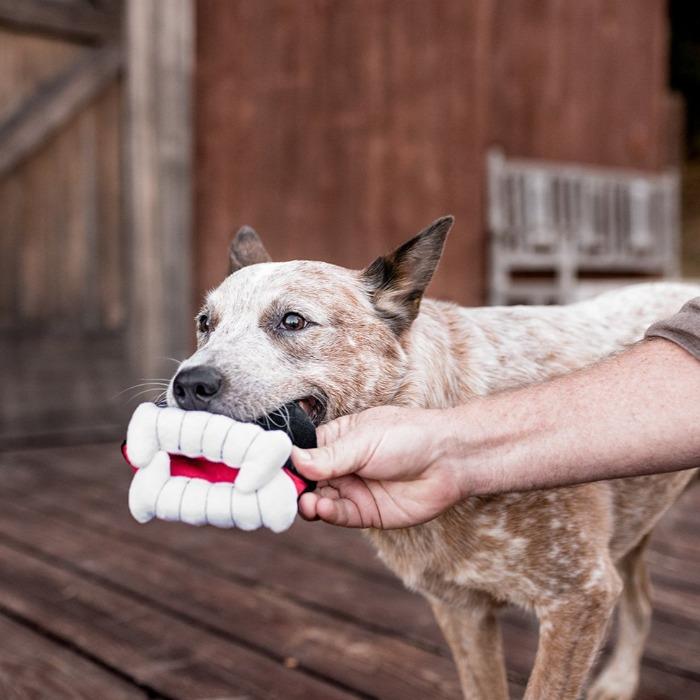P.L.A.Y - Howling Haunts Barky's Bite Dog Toy-P.L.A.Y-Love My Hound