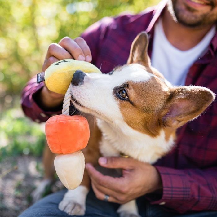 P.L.A.Y - Howling Haunts Canine Corn Dog Toy-P.L.A.Y-Love My Hound