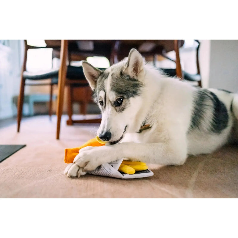 P.L.A.Y | International Classic Fish & Chips - Plush Dog Toy-P.L.A.Y-Love My Hound