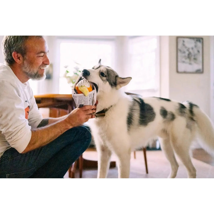 P.L.A.Y | International Classic Fish & Chips - Plush Dog Toy-P.L.A.Y-Love My Hound