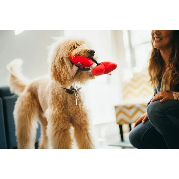 P.L.A.Y - Love Fur-Ever Hearts - Plush Dog Toy-P.L.A.Y-Love My Hound