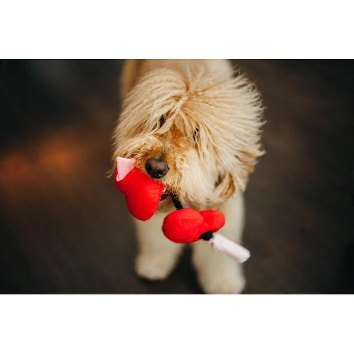 P.L.A.Y - Love Fur-Ever Hearts - Plush Dog Toy-P.L.A.Y-Love My Hound